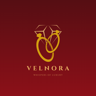 Shop velnora logo